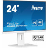 Monitor 24 cale XUB2497HSN-W2 IPS, USB-C Dock, HDMI, DP, 300cd, Pivot, HAS, biały /5y/