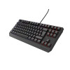 GENESIS Thor 230 TKL klawiatura Gaming USB QWERTY Hiszpański Czarny-15182257