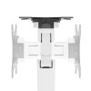 Neomounts DS70-250WH1 uchwyt / stojak do monitorów 88,9 cm (35