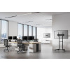 Neomounts NM-D775DXBLACK uchwyt / stojak do monitorów 81,3 cm (32