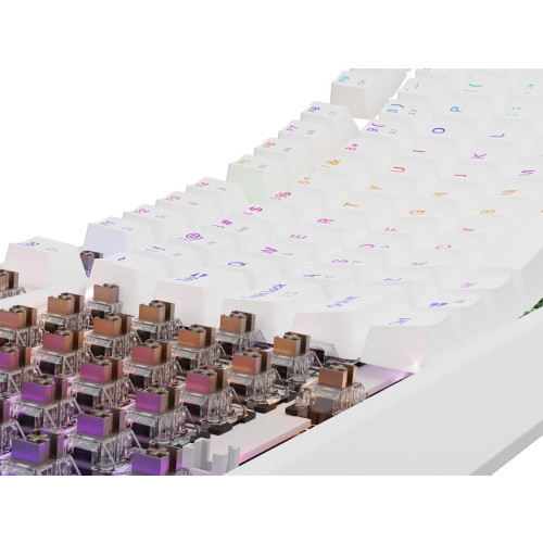 GENESIS Thor 230 TKL klawiatura USB + RF QWERTY-15223236