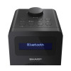 Sharp DR-430 Osobisty Cyfrowy Czarny-15556223