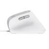 Mysz Trust BAYO II ERGONOMIC White-15863625