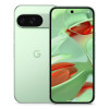 Telefon komórkowy Pixel 9 256GB/Wintergreen Google-15919062