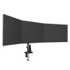 Ramię do monitora DS60-600BL3-15929762