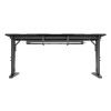 Biurko gamingowe Genesis Holm Modular 160-15949461