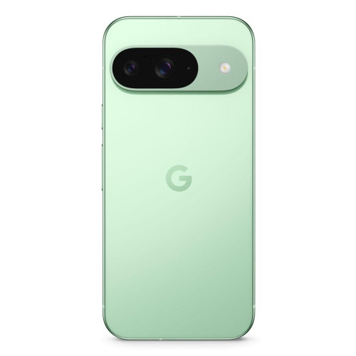 Telefon komórkowy Pixel 9 256GB/Wintergreen Google-15919058