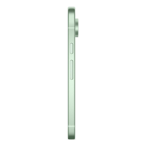Telefon komórkowy Pixel 9 256GB/Wintergreen Google-15919061