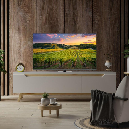 TV SET LCD 55