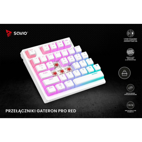 Klawiatura mechaniczna bezprzewodowa PHENIX WHITE Gateron Red Pro, Pudding-15929015