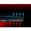 XPG GAMMIX D10 moduł pamięci 32 GB 2 x 16 GB DDR4 3600 MHz-16108247