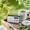 Radio ADLER AD 1907-16150587