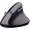Mysz bezprzewodowa YVI TM-270 ERGONOMIC WIRELESS MOUSE
