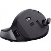 Mysz bezprzewodowa YVI TM-270 ERGONOMIC WIRELESS MOUSE-16390049