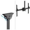 Uchwyt do monitora/TV CL35-440BL16L 37-70 cali 50kg-16393138