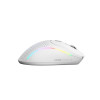 Glorious Gaming Glorious Model D 2 Wireless Gaming-Maus - weiß-16710255