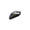 Glorious Gaming Glorious Model D 2 Wireless Gaming-Maus - schwarz-16710287