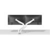 Neomounts DS70-250WH2 uchwyt / stojak do monitorów 81,3 cm (32