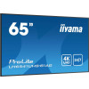 Monitor IIYAMA 164,0 cm (65