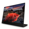 Lenovo Monitor ThinkVision 14.0