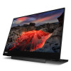 Lenovo Monitor ThinkVision 14.0