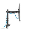 Uchwyt do monitora na biurko / Dual DS60-600BL2 NEOMOUNTS-16994870