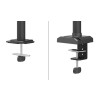 Uchwyt do monitora na biurko / Dual DS60-600BL2 NEOMOUNTS-16994872