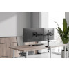 Uchwyt do monitora na biurko / Dual DS60-600BL2 NEOMOUNTS-16994873