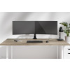 Uchwyt do monitora na biurko / Dual DS60-600BL2 NEOMOUNTS-16994875
