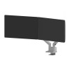 Neomounts DS70-250SL2 uchwyt / stojak do monitorów 81,3 cm (32