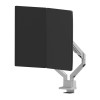 Neomounts DS70-250SL2 uchwyt / stojak do monitorów 81,3 cm (32