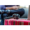POLY Zestaw słuchawkowy Voyager Focus 2 z certyfikatem Microsoft Teams USB-C-C + przejściówka USB-C/A-16996122