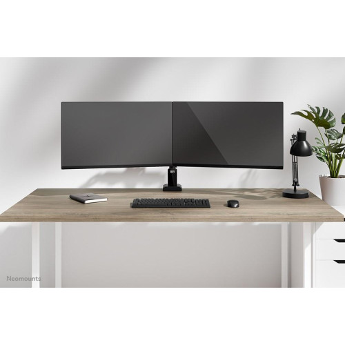 Uchwyt do monitora na biurko / Dual DS60-600BL2 NEOMOUNTS-16994875