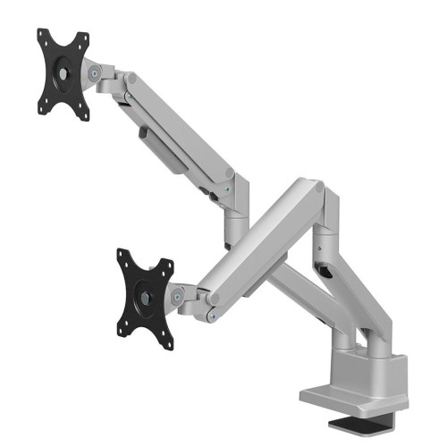 Neomounts DS70-250SL2 uchwyt / stojak do monitorów 81,3 cm (32