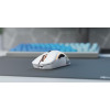 Glorious PC Gaming Race GLO-MS-DW-MW myszka Po prawej stronie RF Wireless 19000 DPI-17047916