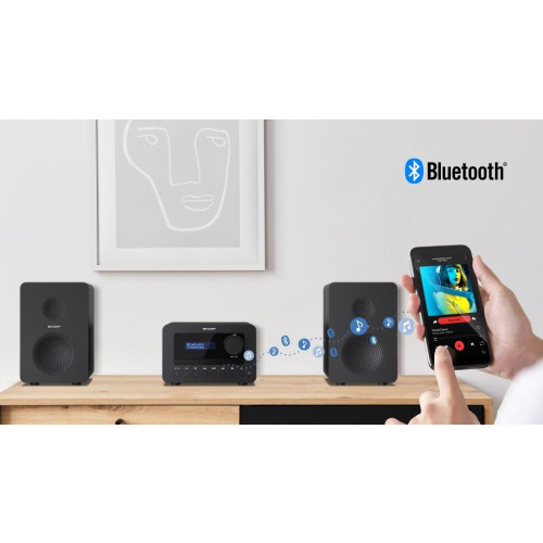 Sharp TOKYO DAB+ HI-FI Micro System System micro domowego audio 40 W Czarny-17061519