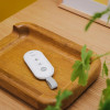 Pilot do Smart Alarm Hub-17122904