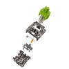 Przełącznik mechaniczny Glorious Raptor Standard Switch, mechanisch, 5-Pin, clicky, MX-Stem, 55g - lubed, 36 Stück-17