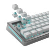 Glorious Gaming GLO-KB-ACC-SWT-LYNX-HE-36 bez kategorii-17159106