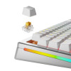 Glorious Gaming GLO-KB-ACC-SWT-PANDA-HE-36 bez kategorii-17159131