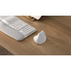 Logitech Lift myszka Biuro Po prawej stronie RF Wireless + Bluetooth Optyczny 4000 DPI