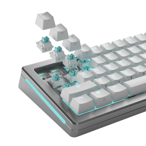 Glorious Gaming GLO-KB-ACC-SWT-LYNX-HE-36 bez kategorii-17159106