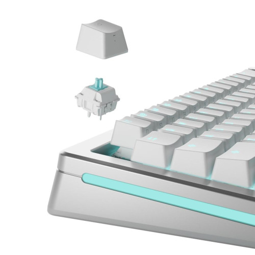 Glorious Gaming GLO-KB-ACC-SWT-LYNX-LUBED-36 bez kategorii-17159109