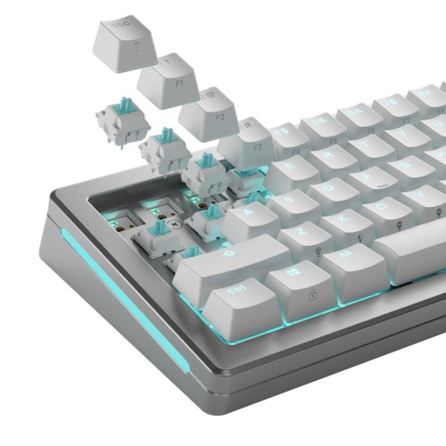 Glorious Gaming GLO-KB-ACC-SWT-LYNX-LUBED-36 bez kategorii-17159113