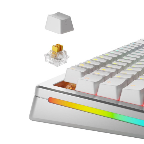 Glorious Gaming GLO-KB-ACC-SWT-PANDA-HE-36 bez kategorii-17159131
