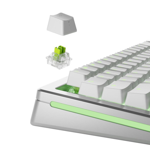 Glorious Gaming GLO-KB-ACC-SWT-RAPTOR-HE-36 bez kategorii-17159149