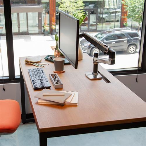 Ergotron LX DESK MOUNT LCD ARM POLISHED/32IN BLACK/WHITE VESA MIS-D-17174409