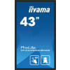 Monitor iiyama ProLite TF4339AS-B1AG - 43