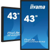 Monitor iiyama ProLite TF4339AS-B1AG - 43