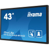 Monitor iiyama ProLite TF4339AS-B1AG - 43